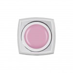 AMV-Painting Romantic Rose